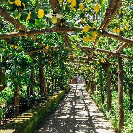 Agriturismo Il Giardino Di Vigliano Massa Lubrense Zewnętrze zdjęcie