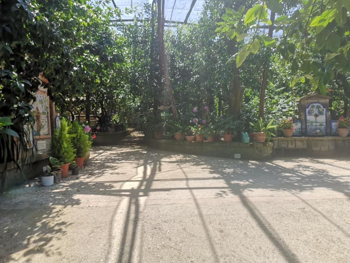 Agriturismo Il Giardino Di Vigliano Massa Lubrense Zewnętrze zdjęcie
