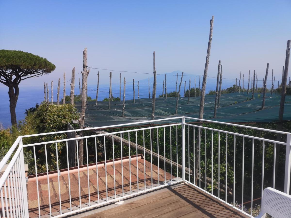 Agriturismo Il Giardino Di Vigliano Massa Lubrense Zewnętrze zdjęcie