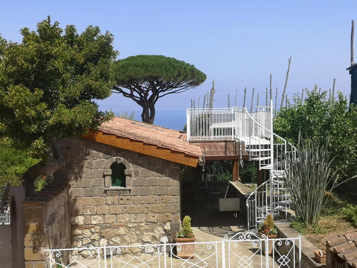 Agriturismo Il Giardino Di Vigliano Massa Lubrense Zewnętrze zdjęcie