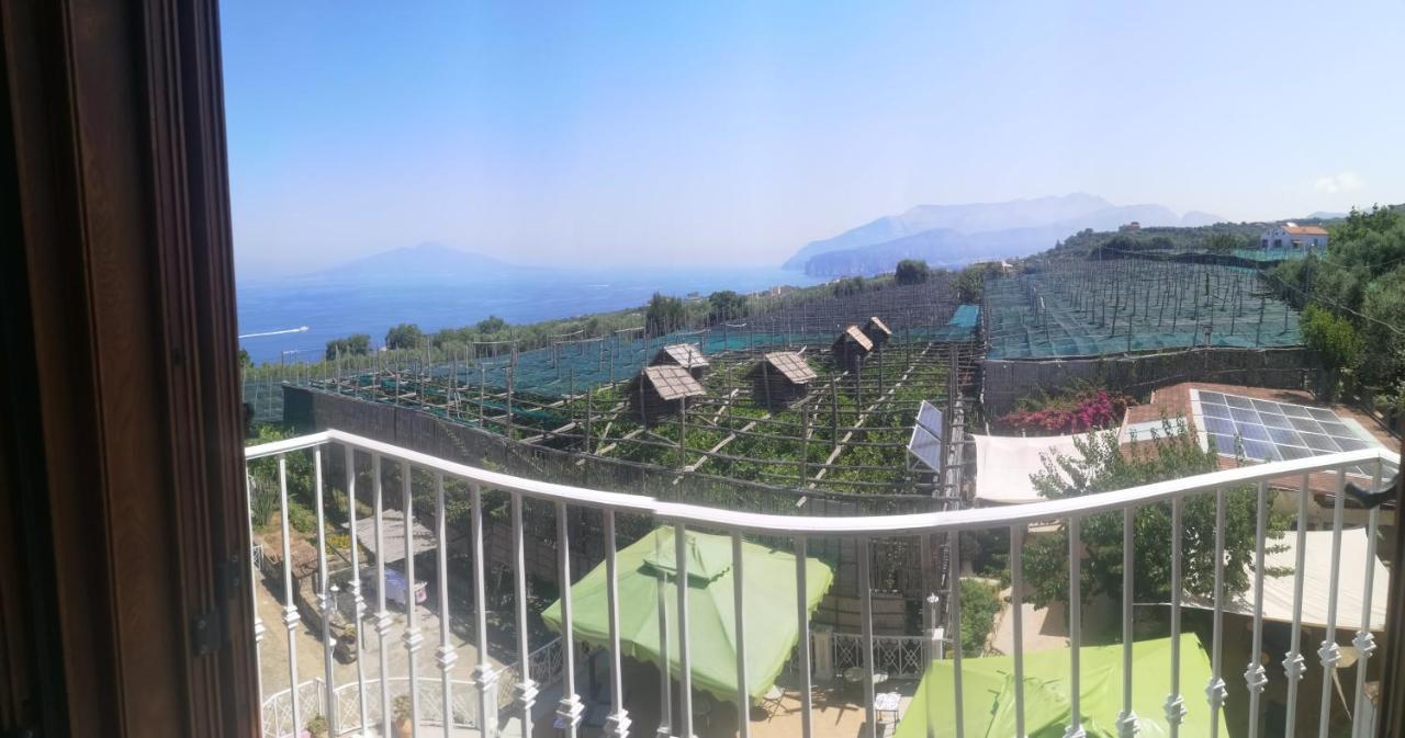 Agriturismo Il Giardino Di Vigliano Massa Lubrense Zewnętrze zdjęcie