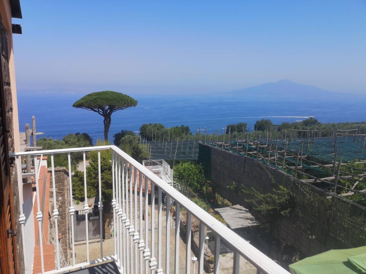 Agriturismo Il Giardino Di Vigliano Massa Lubrense Zewnętrze zdjęcie