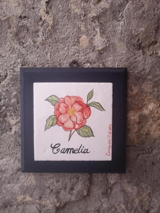Agriturismo Il Giardino Di Vigliano Massa Lubrense Zewnętrze zdjęcie