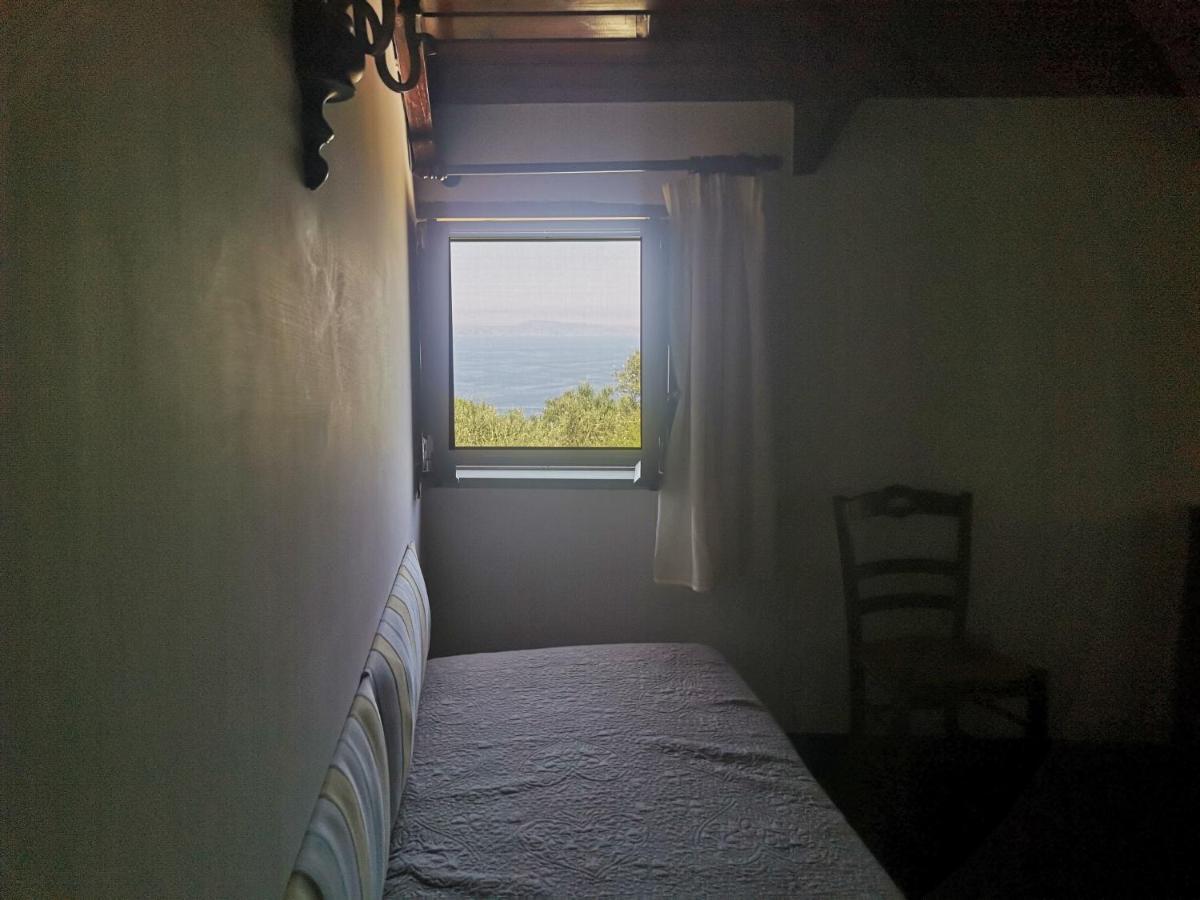 Agriturismo Il Giardino Di Vigliano Massa Lubrense Zewnętrze zdjęcie