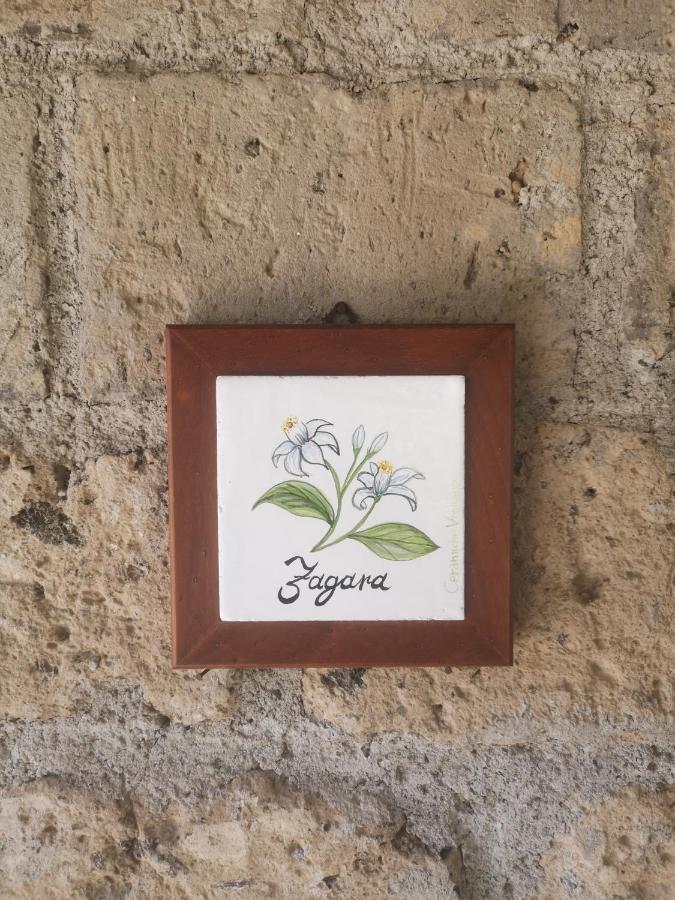 Agriturismo Il Giardino Di Vigliano Massa Lubrense Zewnętrze zdjęcie
