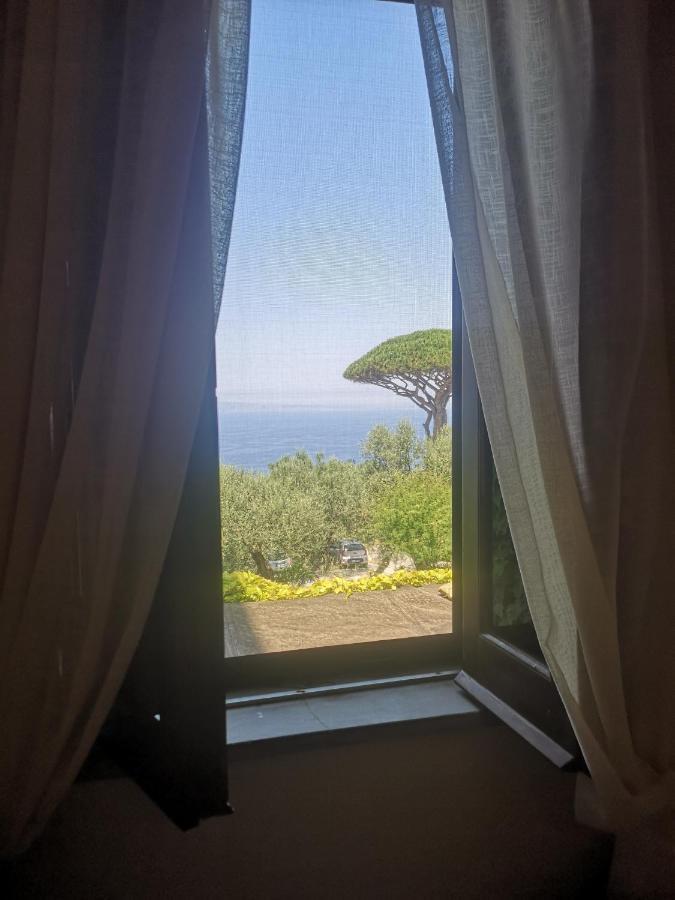 Agriturismo Il Giardino Di Vigliano Massa Lubrense Zewnętrze zdjęcie
