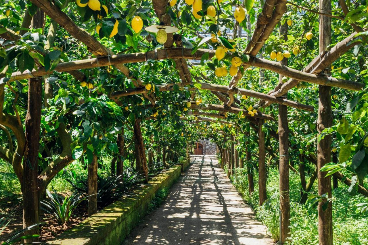 Agriturismo Il Giardino Di Vigliano Massa Lubrense Zewnętrze zdjęcie