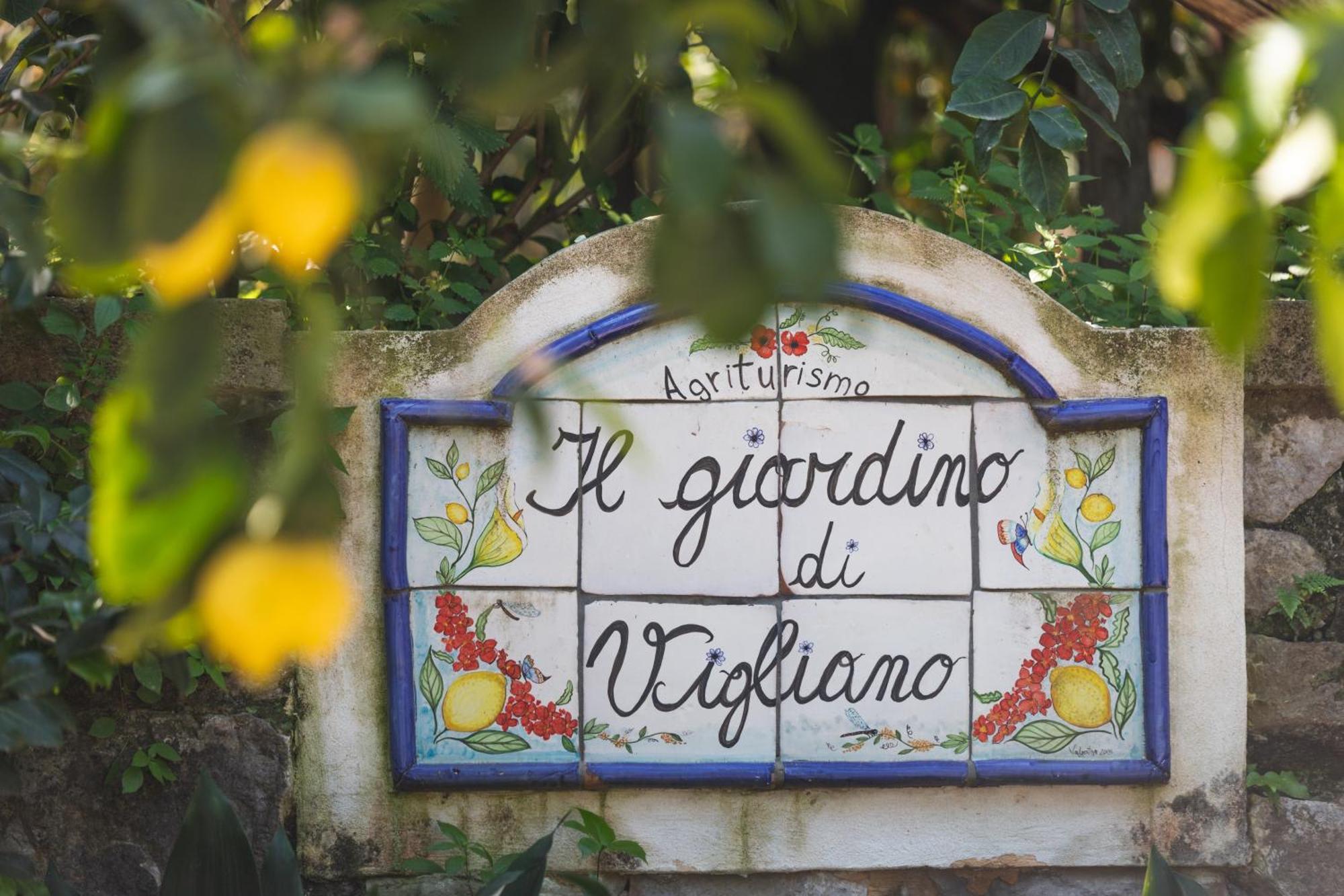 Agriturismo Il Giardino Di Vigliano Massa Lubrense Zewnętrze zdjęcie